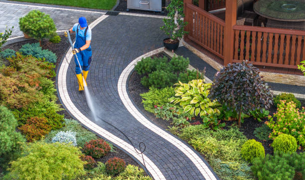 Best Affordable Power Washing  in Waymart, PA